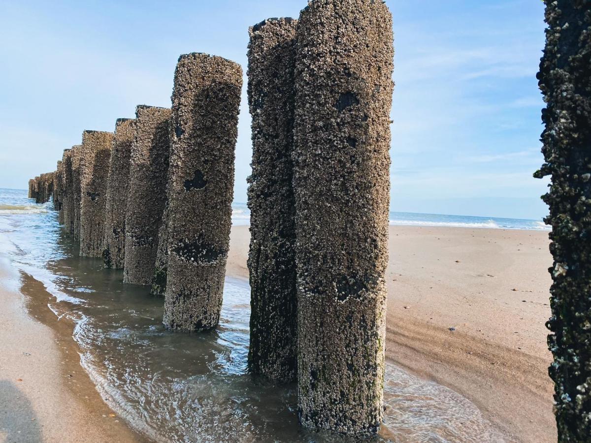 Vakantiehuis Domburg DO33 Bagian luar foto